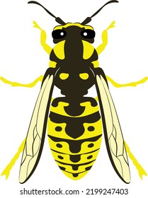 Yellowjacket Yellow Jacket Wasp Hornet Bee svg