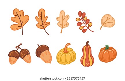 Yellow,orange fall leaves,pumpkin harvest,delicious pumpkins.Illustration for print,cards,greeting,holiday.
