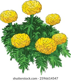 It is a yellow-red flower, a beautiful flower.