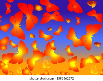 Yellow-red glowing moths against the evening sky
