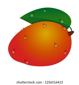 Yellow-red tropical mango fruit with green leaf and drops . Vector illustration of mango.