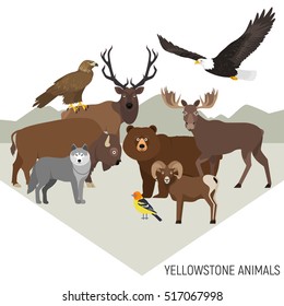  Yellowstone National Park animals composition with grizzly, moose, elk, bear, wolf, golden eagle, bison, bighorn sheep, bald eagle, western tanager,  isolated on transparent background