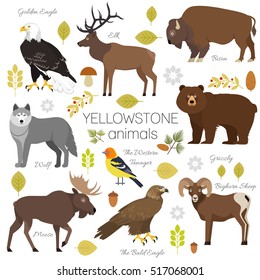  Animales del Parque Nacional Yellowstone: grizzly, alce, alce, oso, lobo, águila dorada, bisonte, oveja bighorne, águila calva, tanager occidental, aislado en ilustración transparente de fondo vectorial.