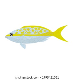 Yellowtail snapper drawing, vector illustration
