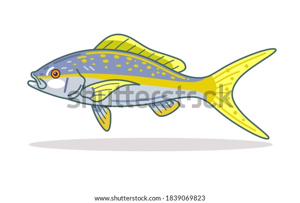 Yellowtail\
snapper fish design Illustration vector\
art