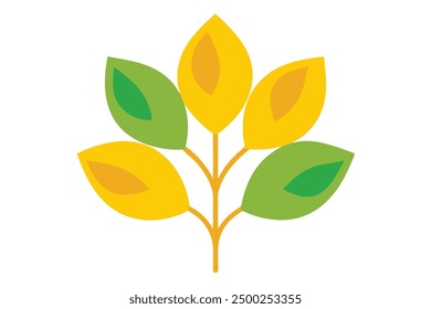 Yellowwood Leaf Color Art Detailed Botanical Illustration of Yellowwood Leaves