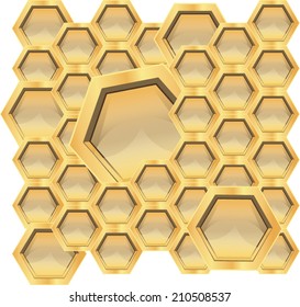 yellowy-brown bee honeycombs with cells of the different size