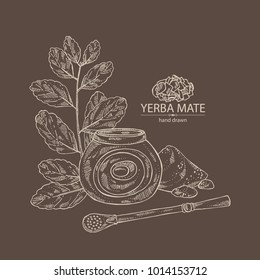 Yerba mate: drink mate, bomber, calabash, and mate branch and leaves. Vector hand drawn illustration.