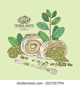 Yerba mate: drink mate, bomber, calabash, and mate branch and leaves. Vector hand drawn illustration.