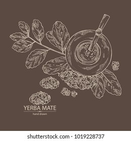 Yerba mate: drink mate, bomber, calabash, and mate branch and leaves. Vector hand drawn illustration.