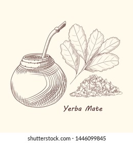 Yerba mate drink. Traditional South American drink. Calabash, bombilla and brach. Mate tea engraving style vector illustration. 