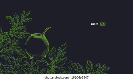 Yerba mate. Green plant set, calabash. Vector fresh bush, sketch leaves, organic plantation. Art hand drawn illustration. Healthy traditional herb tea drink 