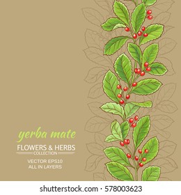 yerba mate vector pattern on color background