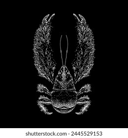 yeti crab hand drawing vector isolated on black background.