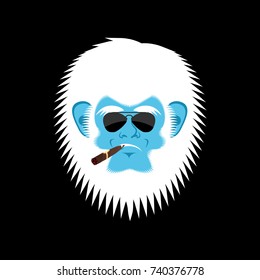 Yeti serious emoji. Abominable snowman with cigar. Bigfoot bespectacled emotion face. Vector illustration