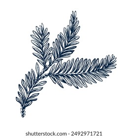 Yew berry twig 2025. Botanical hand drawn Isolated vector illustration. Yew sketch template for card design Christmas invitation, packaging, label, poster, party, holiday decor. Engraving style banner