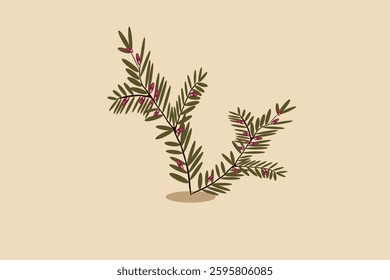 Yew Branches Red berries vector image 