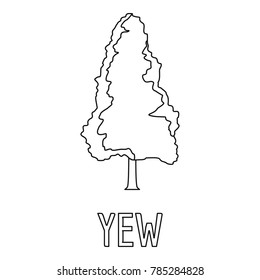 Yew icon. Outline illustration of yew vector icon for web