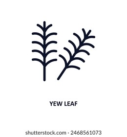 yew leaf icon. Thin line yew leaf icon from nature collection. Outline vector isolated on white background. Editable yew leaf symbol can be used web and mobile