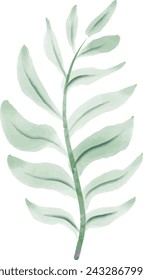 yew tree, branch - plant part, leaf, decoration, vector, green color, watercolor