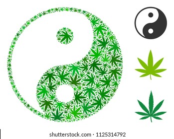 Yin yang composition of hemp leaves in various sizes and green tinges. Vector flat hemp symbols are combined into yin yang collage. Addiction vector design concept.
