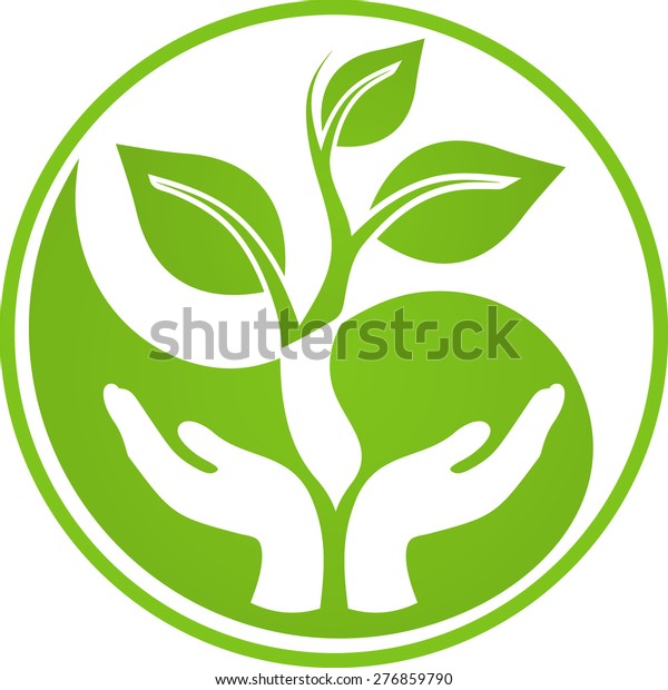 Yin Yang Floral Series Stock Vector (Royalty Free) 276859790 | Shutterstock