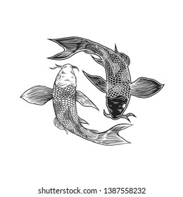 yin yang koi fish illustration vector design