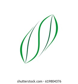 Yin Yang Leaf Logo design