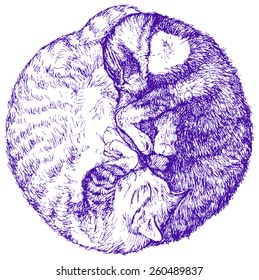 Yin yang symbol of the couple's of cats -vector illustration isolated on white, stylized as engraving