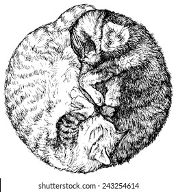 yin yang symbol of the couple's love of cats