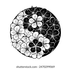 Yin Yang symbol is made of blooming, contoured and silhouetted Japanese cherry blossoms on white background.