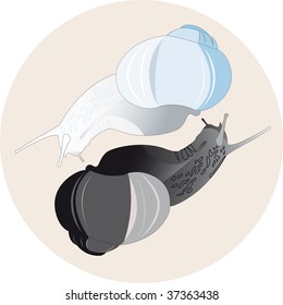 Yin-Yang symbol