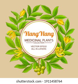 ylang ylang branches circle frame on color background