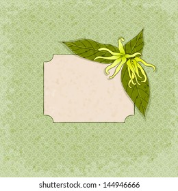 ylang ylang flowers frame template, vector illustration, eps10