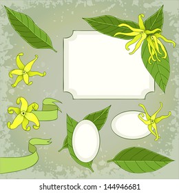 ylang ylang flowers frames template, vector illustration, eps10