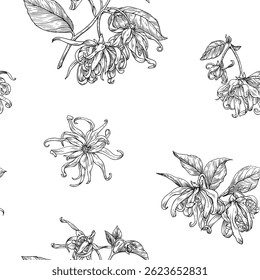 Ylang Ylang flowers and twigs, botanical seamless pattern. Hand drawn linear graphics elements. Black white vector illustration. Background for design cosmetic, perfumery,package, branding