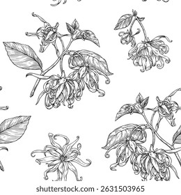 Ylang Ylang flowers and twigs, botanical seamless pattern. Hand drawn engraved graphics elements. Black white vector illustration. Background for design cosmetic, perfumery, package, fashion apparel