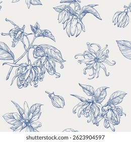 Ylang Ylang flowers and twigs, floral seamless pattern. Hand drawn graphics elements. Toile blue beige. Vector botanical illustration for packaging design, cosmetic, branding, fashion apparel, textile