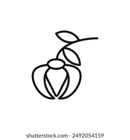 Ylang ylang icon outline collection in black and on white background