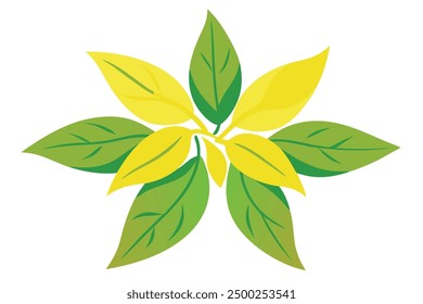 Ylang Ylang Leaf Color Art Nature’s Elegance Captured in Ylang Ylang Leaves