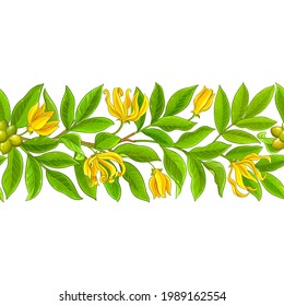 ylang ylang pattern on white background