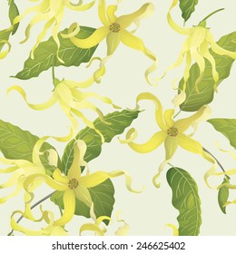 Ylang Ylang seamless background