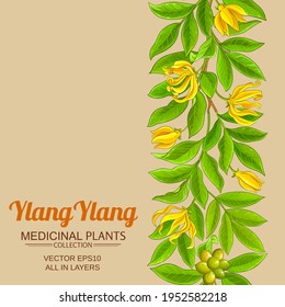 ylang ylang vector pattern on color background
