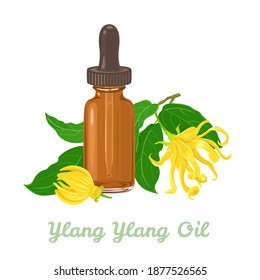 Ylang-ylang essential oil in amber glass dropper bottle isolated on white background. Green branch with yellow fragrant flowers. Vector illustration in cartoon flat style.