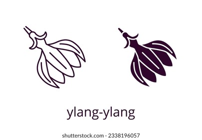 Ylang-ylang icon, line editable stroke and silhouette