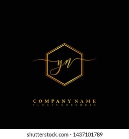 YN Initial luxury handwriting logo vector