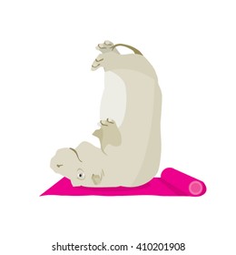 Yoga for animals. Animal yoga. Hippo does yoga. Sports Behemoth on the Mat. Circus animal. Gymnastics vector illustration