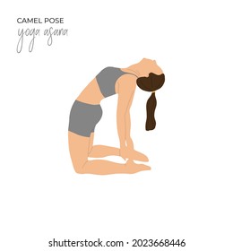 Yoga asana camel pose. Vector illustration.