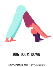 Yoga asana, dog looks down position, sport or fitness, isolated female character vector. Woman standing on legs and hands making angle, stretching. Girl, physical activity, exercise and concentration