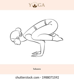 Yoga Asana Poses Names Vector Illustration Stock Vector (Royalty Free ...